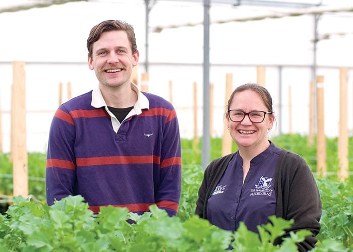 Warning on fungus resistance in canola