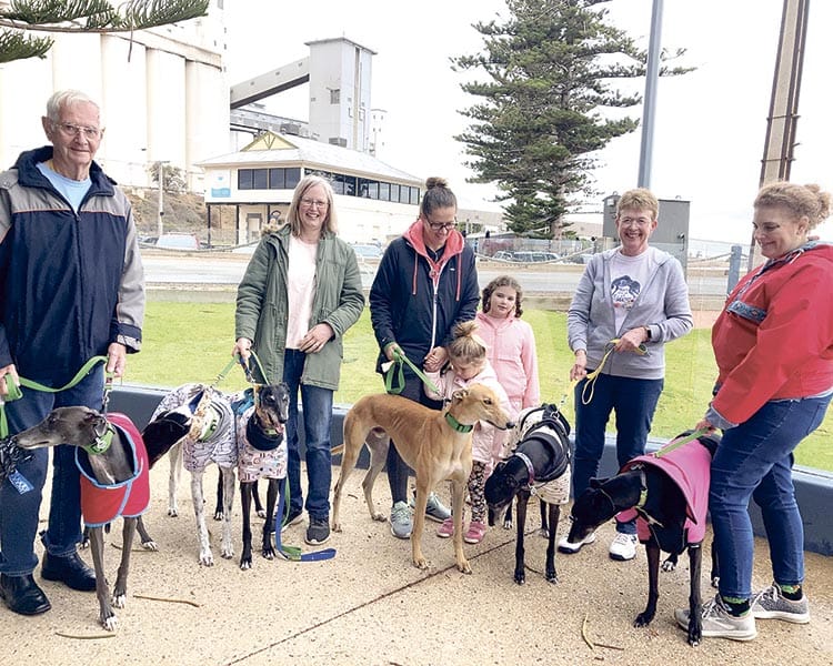Friendship for Copper Coast greyhounds