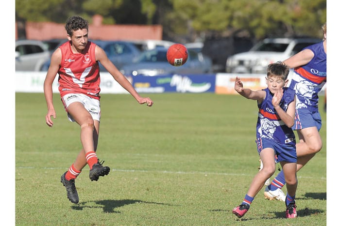 YPFL: Champion cocks crow