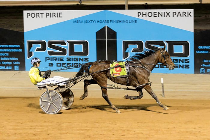 Port Pirie harness racing
