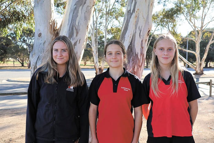 Lovebirds on the Yorke