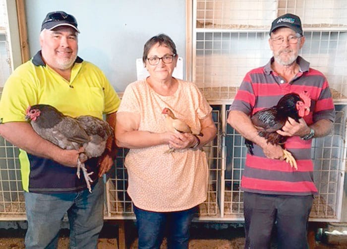 YP Poultry and Pigeon Club