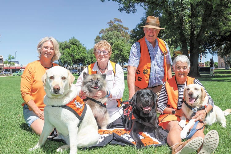 Friends fur-ever - A paws-itive outcome for young readers