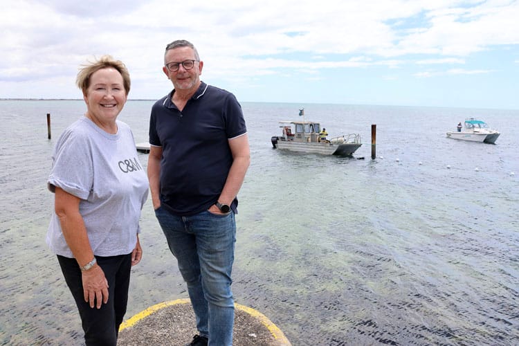 Edithburgh shark barrier installed