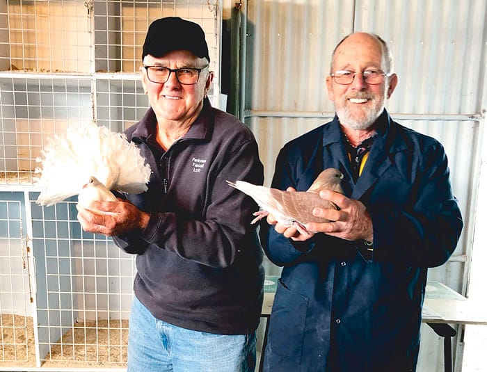 YP Poultry and Pigeon Club