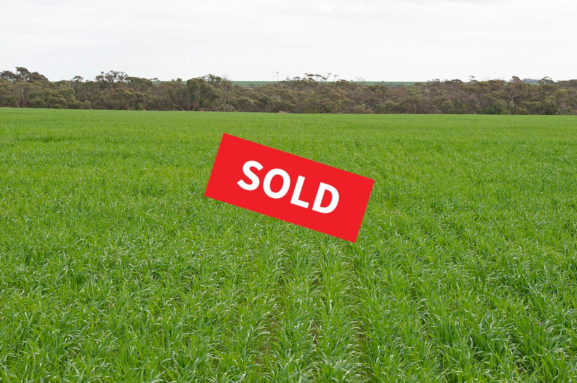 Auction draws another sale