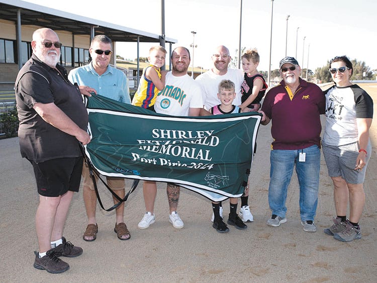 YP harness racing news