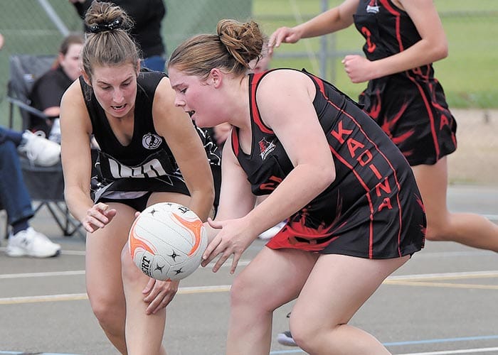 YPNA scores and reports