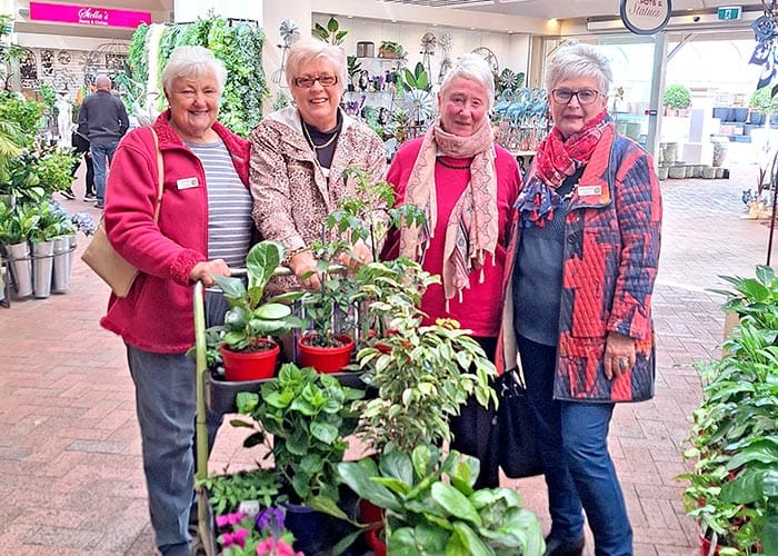 SACWA, Lions form friendship link