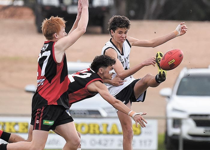 Cougars consolidate minor premiership