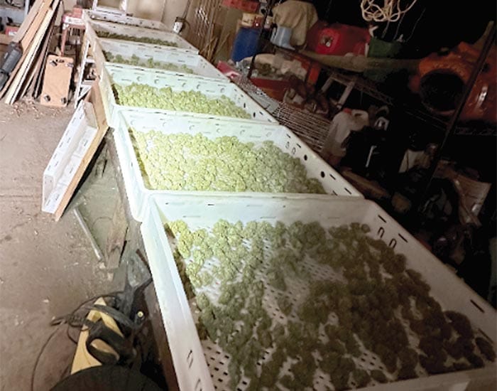 Police News... November crime statistics