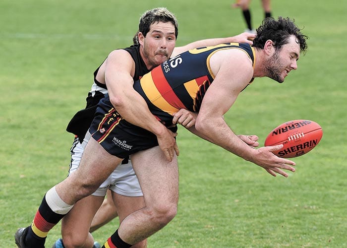 Champion Crows too strong for persistent Pies