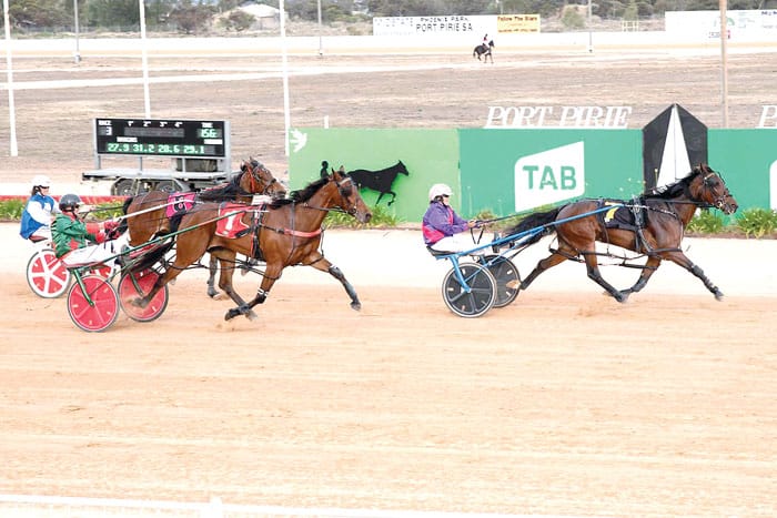 YP Harness Racing Club news