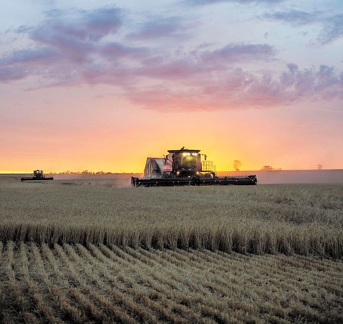 Grain harvest tipped to be South Australia’s fourth best on record