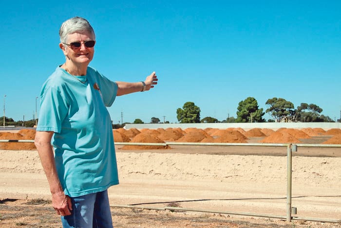 Kadina show society gets working