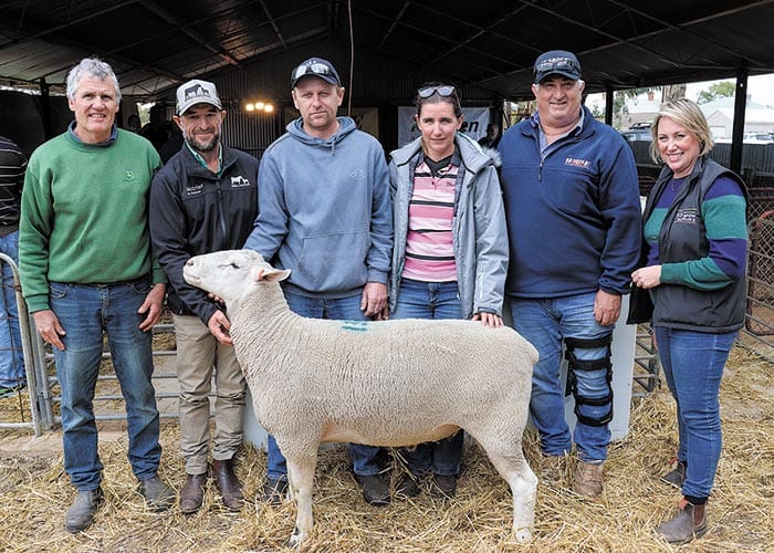 Jandebrey achieves best ram price and record sales results