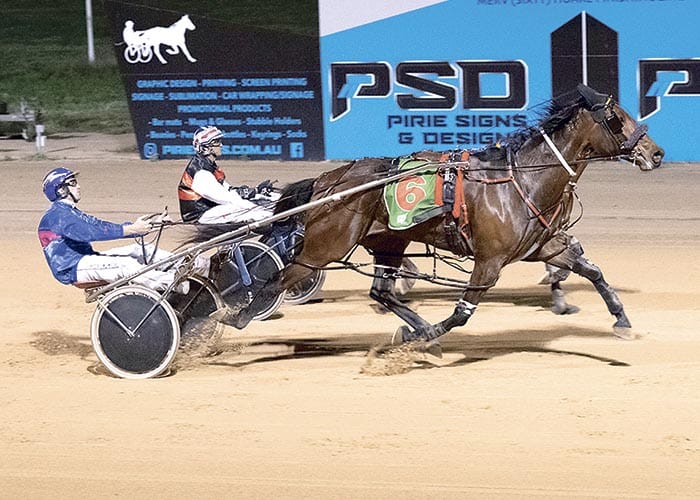 YP Harness Racing Club news