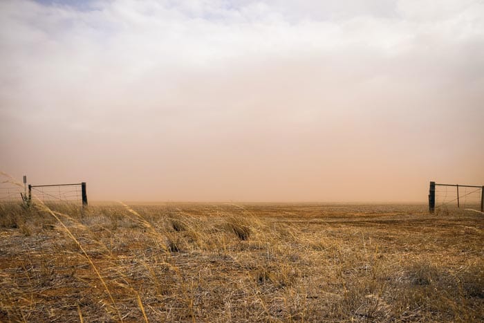 NFF urges PM to focus on drought