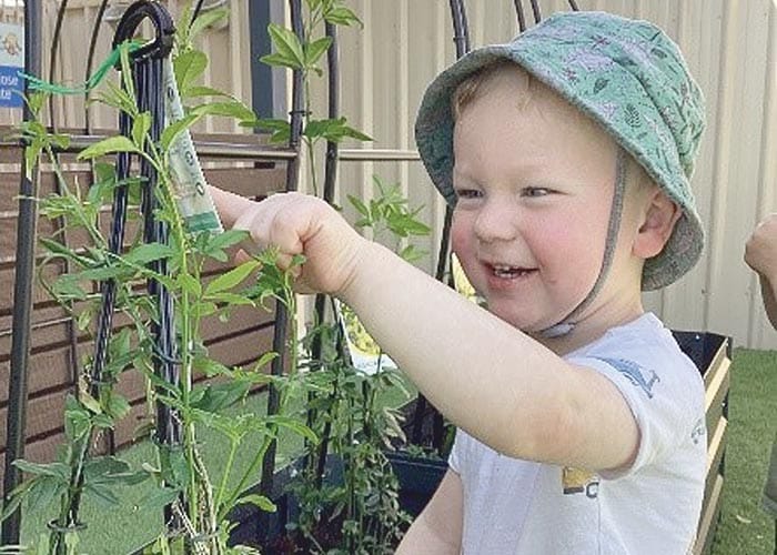 Pollinator’s Paradise begins at local early learning centre