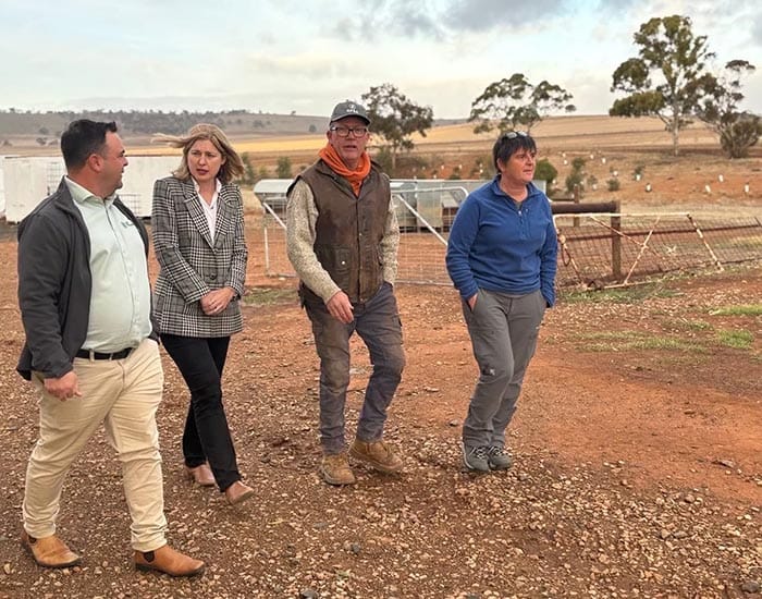 Federal drought support falls short, say SA grain producers