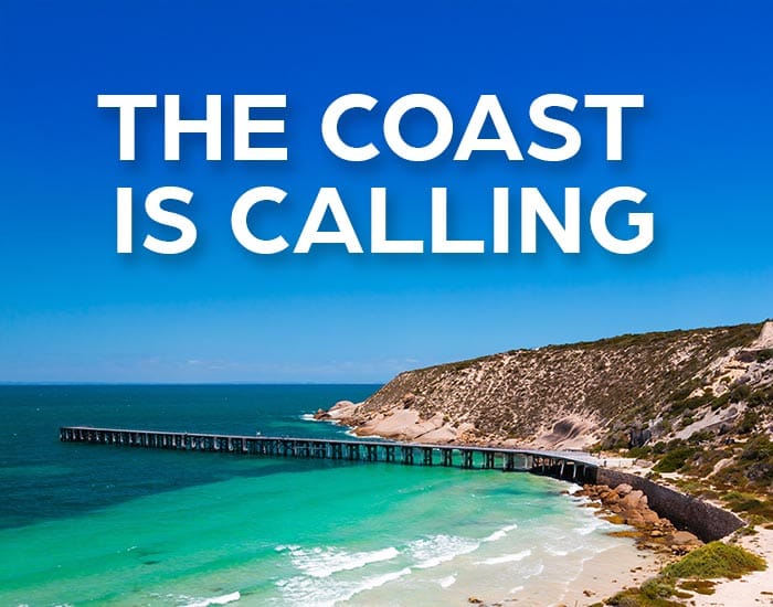 Algae tourism vouchers announced