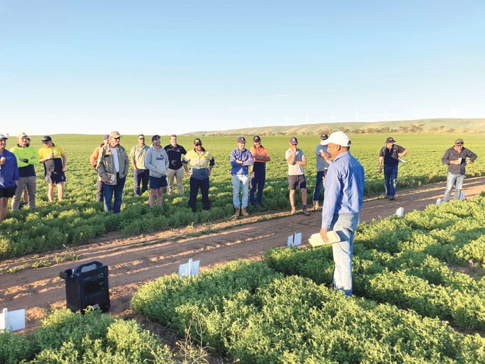 NYP grain growers discuss key topics