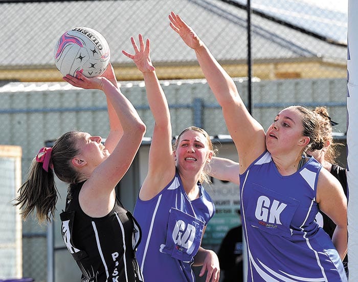 YPNA scores and reports