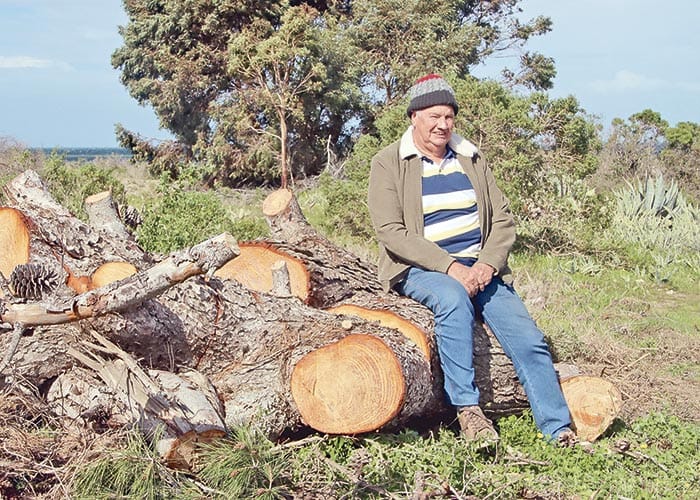 Stansbury weeds turfed out