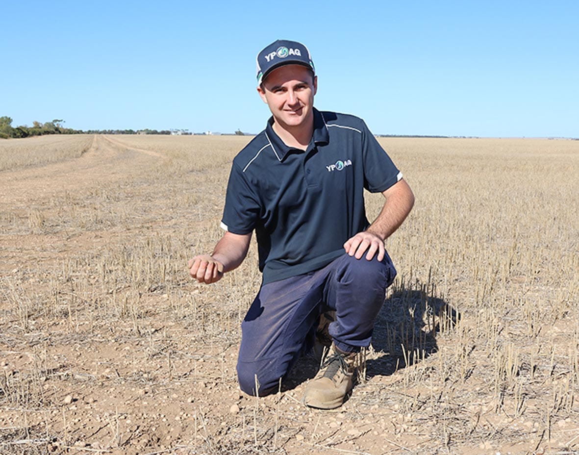 Sowing in the big dry