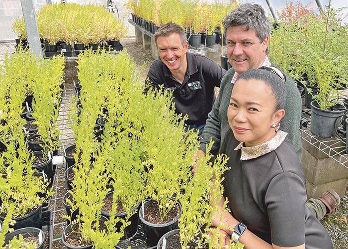 Discovery to improve lentil choices