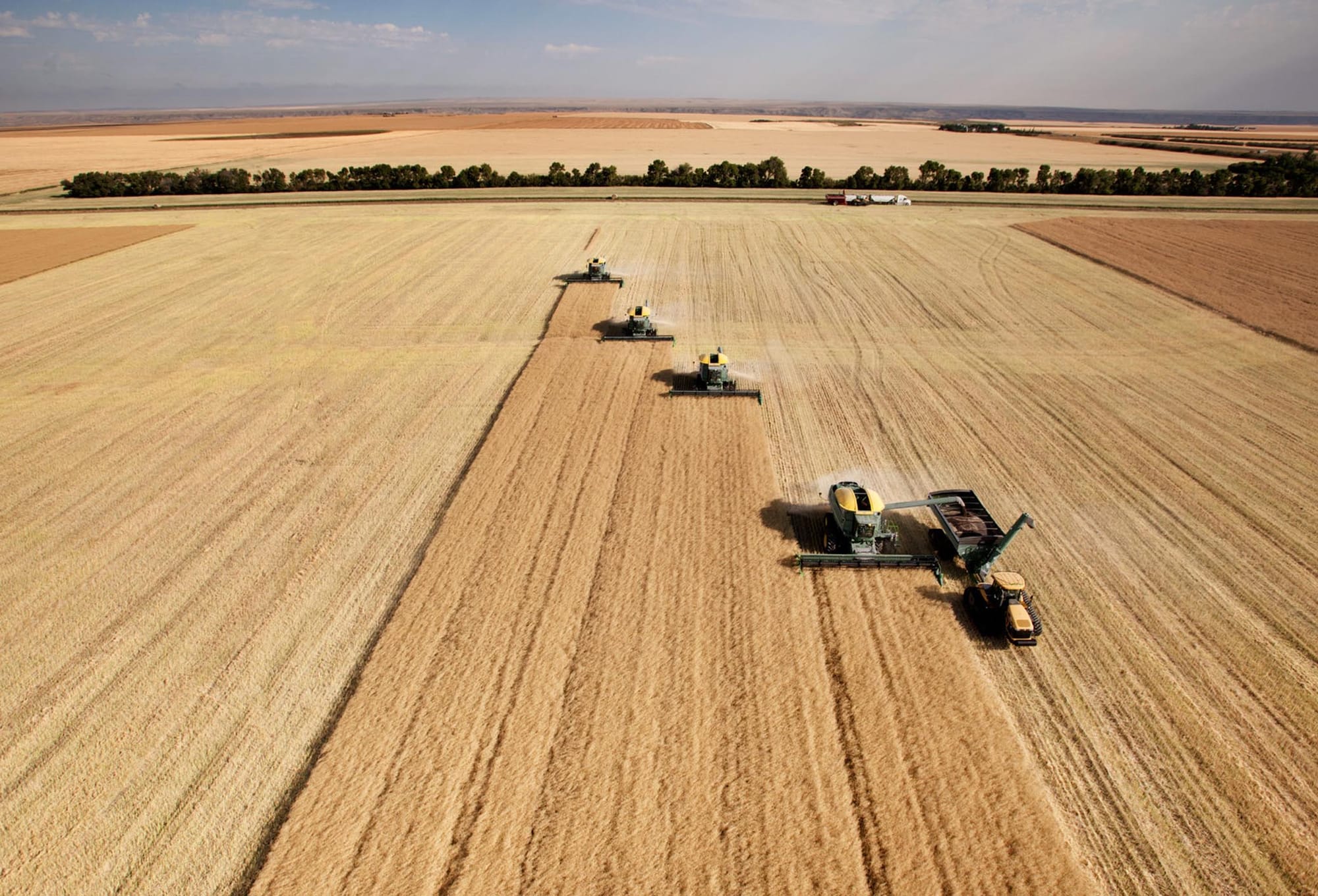 GrainGrowers responds to budget’s ag measures