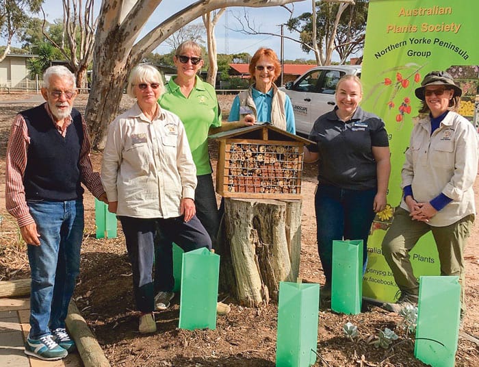 Bees BnBs project complete