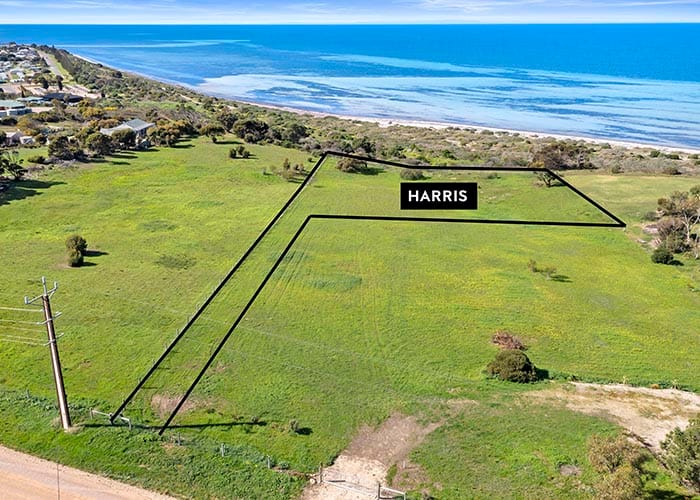 Rare earth at Stansbury