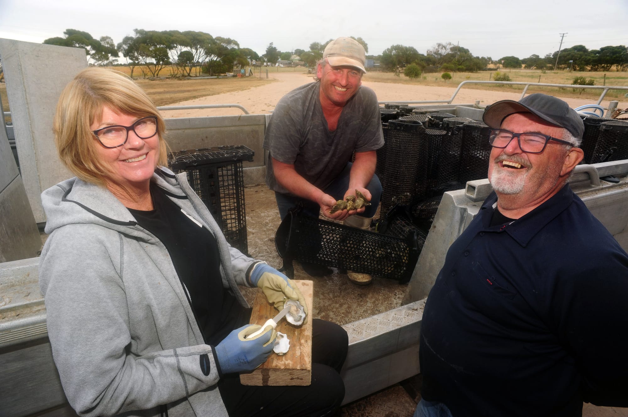 Local oysters still afloat