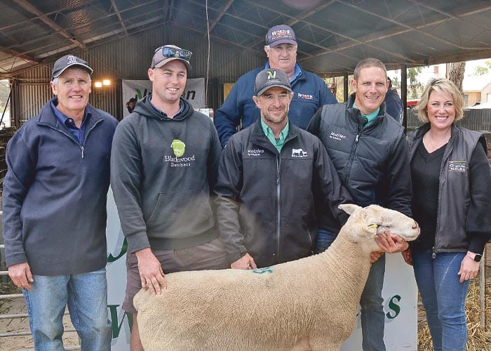 Jandebrey produces stellar results