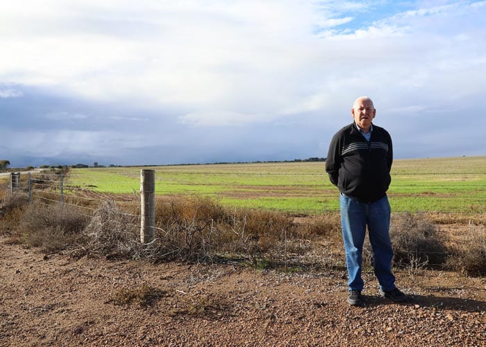 Wallaroo rural land rezoning discussed