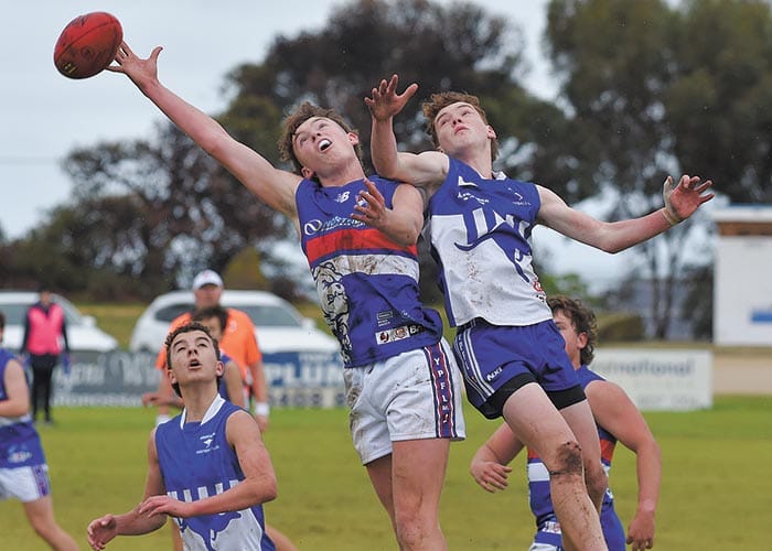 Dogs defeated by Roos