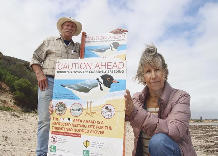 Port Hughes plovers destroyed in attack