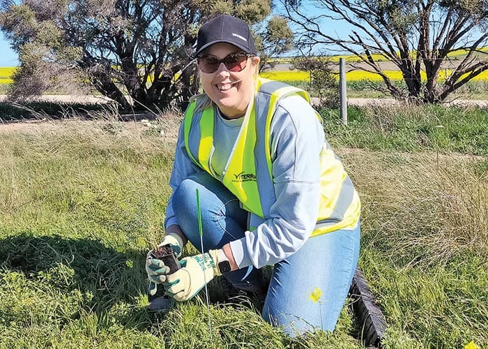 Trial aiming to boost flies for snail control