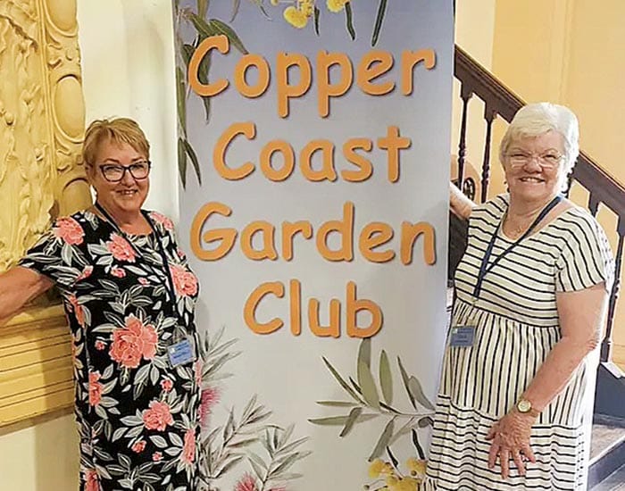 Best of a year in gardening