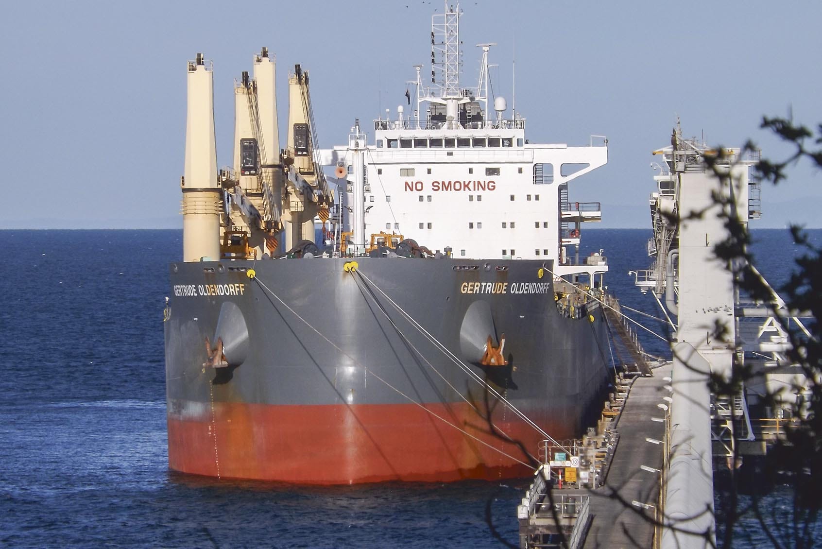 Unusual shipping arrival