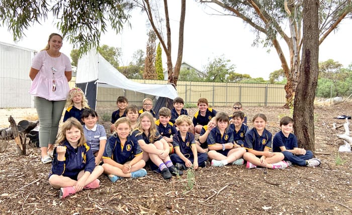 Unearthing insects at Wallaroo Mines