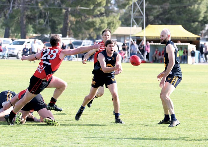 NAFA: Eagles one win from three-peat