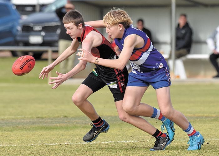 Bloods win battle of the dogs