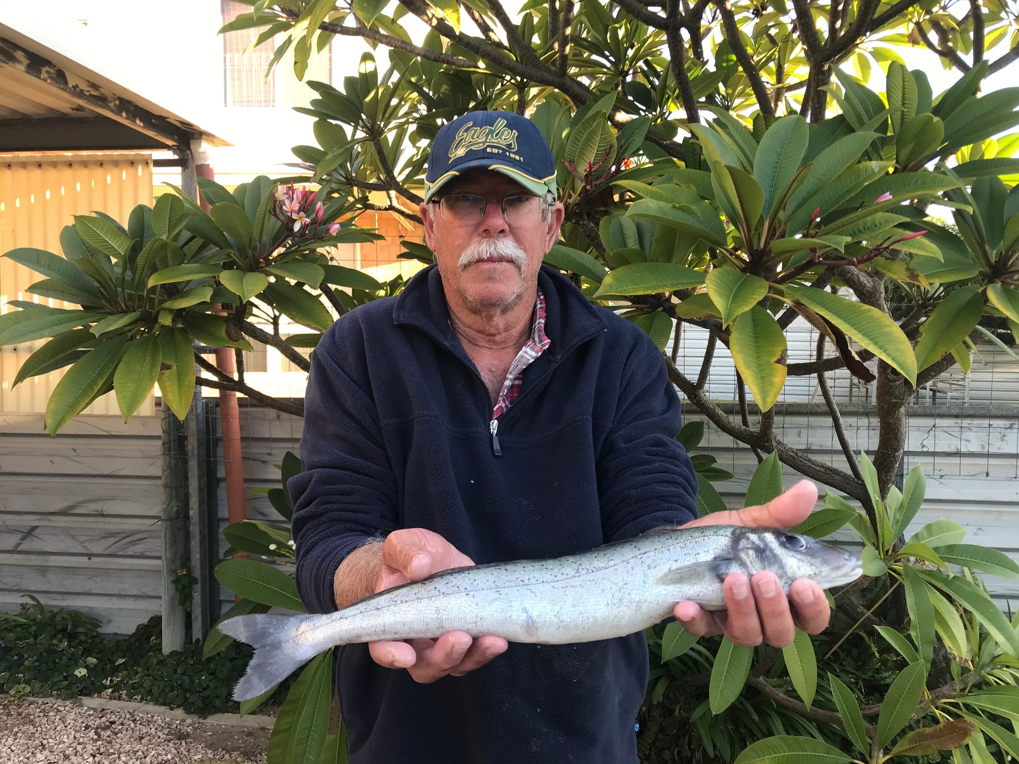 Boat club whiting comp