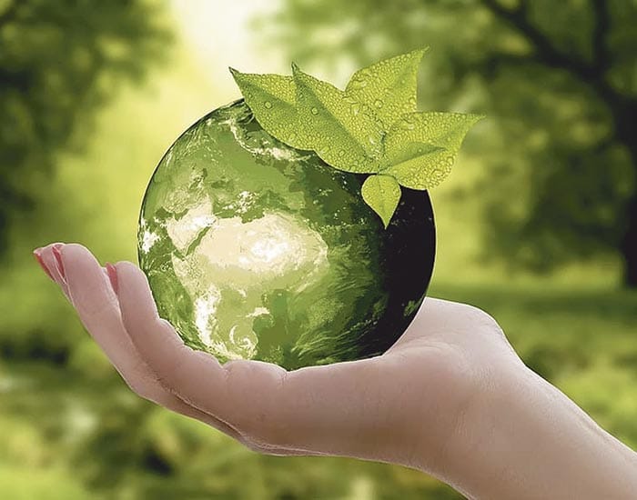 Going green for a better future