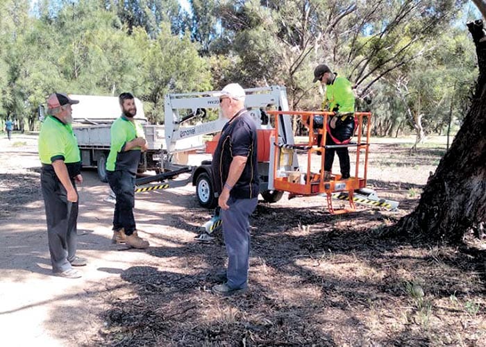 McCauley Park update