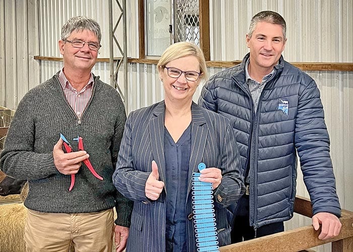 Farmed sheep and goats to receive electronic IDs