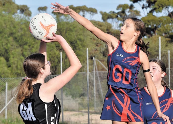 YPNA scores and reports