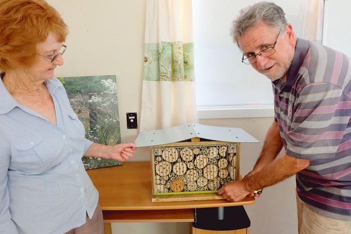 B ’n’ Bs for bees